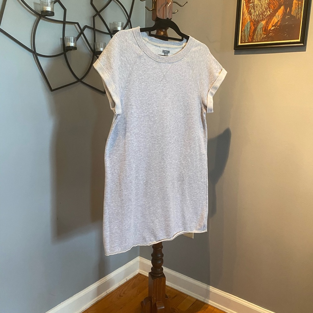 Aerie Sweatshirt Dress